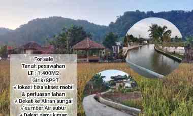 Sawah Produktif, Dapat View Bagus, Subang Jawa Barat