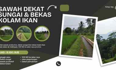 sawah produktif dekat sungai view bagus subang