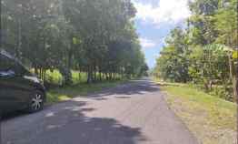 Selagi Murah, Bangun Kost Area Pabrik Sentolo