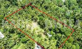 Tanah Disewakan di tegalalang