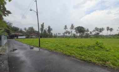 Taanah Murah di Moyudan, Barat Pasar Godean