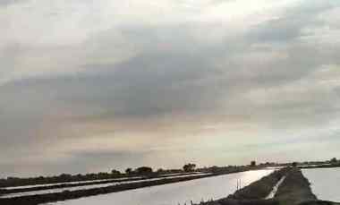 Tambak Strategis dekat Jalan Pantura Kiajaran Kulon