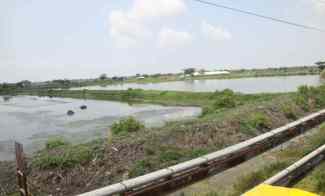 Tambak Strategis di Gresik