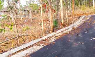 Tanah 1 Hektar 200rb/m Karanganyar