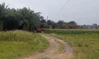 Tanah Dijual di Sabah Balau, Lampung Selatan