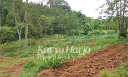 Tanah 1 Hektar Mojogedang Karanganyar