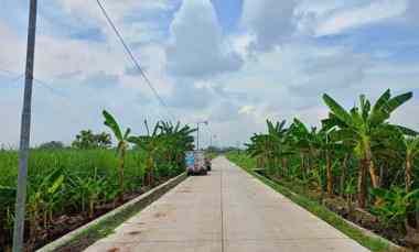 Tanah Dijual di Balongmojo Puri Mojokerto