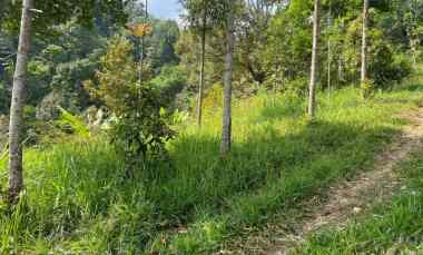 Tanah Dijual di Tawangmangu