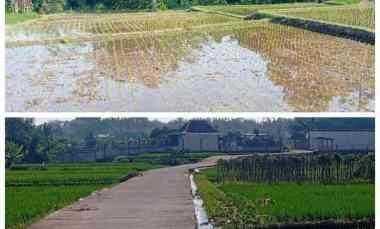 Tanah Dijual di Ponggok Klaten
