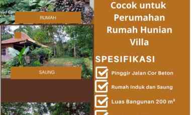 Tanah 1650 M Bonus Rumah dan Saung