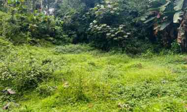tanah 1723m cocok untuk kebun karanganyar