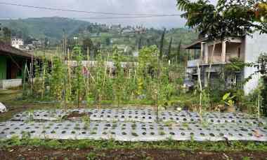 Tanah 175 juta Siap Bangun Villa Kemuning