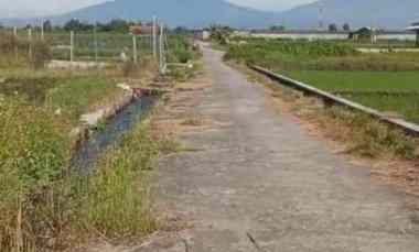 Tanah Dijual 1934m2 dekat Wisata Janti Klaten 425jt Nego BU