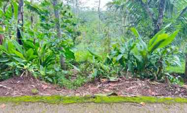 Tanah Dijual di Ngargoyoso, Karanganyar