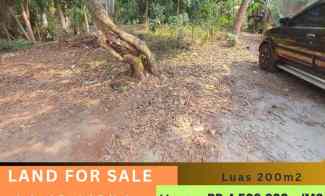 Tanah 200m2 10x20 di Parigi, Pdk Aren. Rp.4.5jt/m2