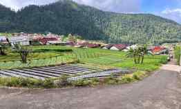 Tanah 206m Gondosuli Tawangmangu Karanganyar