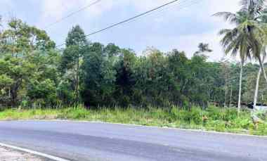 Tanah 250 juta Tepi jl Kerjo- Kemuning Karanganyar