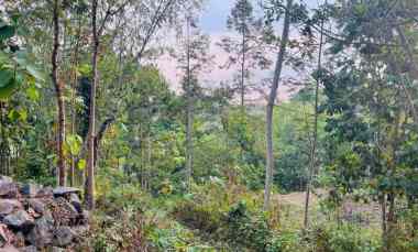 Tanah Dijual di Matesih, Karanganyar