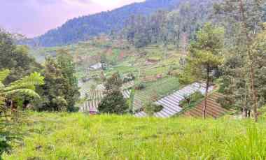 Tanah 275 juta Kawasan Wisata Ngargoyoso