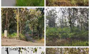 Tanah Dijual di Karanganyar