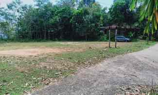 Tanah 3,7 Hektar dekat Pasar Karangpandan, Karanganyar