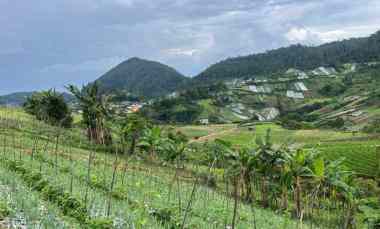 Tanah 300 juta Strategis Bangun Villa Tawangmangu