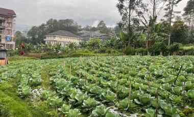 Tanah 300m Kawasan Wisata Strategis Tawangmangu