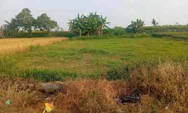 Tanah Dijual di Tanah 3300m2 dkt wisata Janti Klaten 700jt muka 20 meter