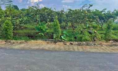Tanah 350 juta Strategis Kawasan Wisata Ngargoyoso