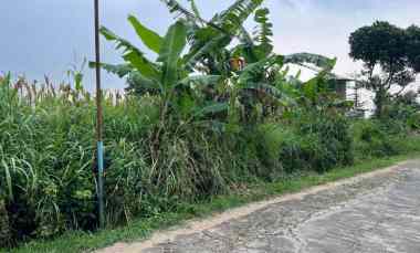 Tanah 3350m Cocok untuk Kebun Buah Karanganyar