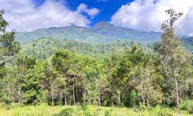 Tanah Dijual di Karanganyar, Jawa Tengah