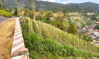 Tanah 600m Kemuning Ngargoyoso Karanganyar