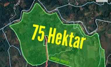 Tanah 75 Hektar - Jonggol Kab. Bogor