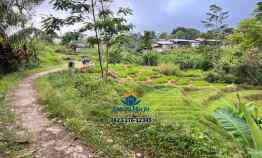 Tanah 781m dekat Sungai Pegunungan Karangpandan