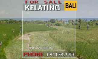 Tanah 900m2 dekat Pantai dan View Sawah di Kelating