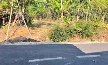 Tanah 950m Strategis Dibangun Villa Karangpandan