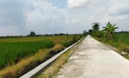 Dijual Tanah Invest 3200m2 dekat Wisata Janti Klaten Muka 25mtr Harga 640j