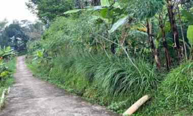 Tanah Asri Cocok Dibangun Villa/Investasi Karangpandan