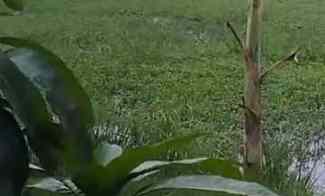 Tanah Bagus dan Rata Kawasan Strategis