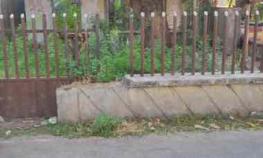 Tanah Dijual di Lemahwungkuk kota cirebon