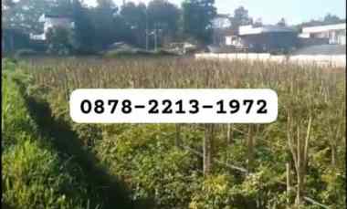 Tanah Dijual di KOL. MASTURI LEMBANG BANDUNG