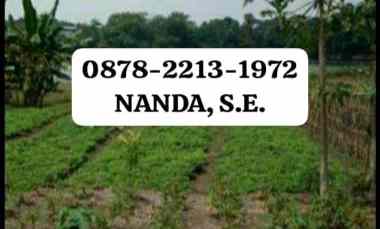 Tanah Bagus untuk Perum Cluster / Komersil di Cileungsi