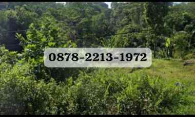 Tanah Bagus untuk Perumahan Cluster di Leuwiliang Bogor Barat