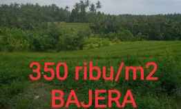 Tanah Dijual View Sawah di Bajera Selemadeg Tabanan Bali
