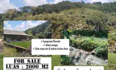 Tanah Dijual di Subang