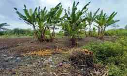 Tanah Dikawasan Industri Batujajar Masuk Kontainer