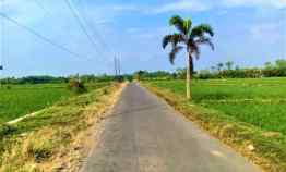 Dijual Tanah Cocok untuk Investasi Sragen Jateng