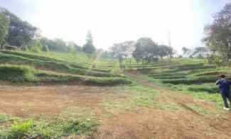 Tanah Best View Cijeruk Tanah Murah Cijeruk Bogor