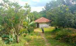 Tanah Best View Alimapro Sukamakmur Bogor