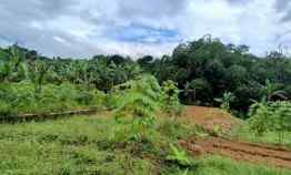 Lahan Murah Cocok untuk Berkebun Ciawi Bogor